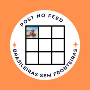 Post ou Reel no Feed